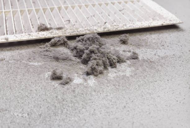 Best HVAC Air Duct Cleaning  in Pittsburg, KS